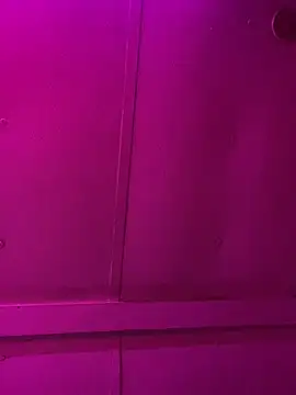 jcwxt online show from March 2026 11:56:02 AM