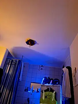 a7ex online show from December 2024 02:30:02 AM