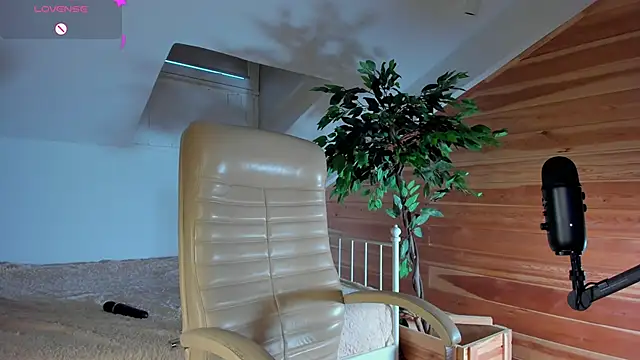 AuroraShoww online show from November 2025 12:49:01 PM