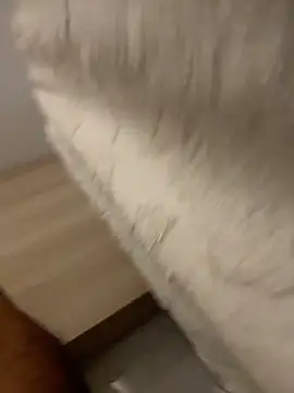 Snapshot of DoctorArabe3 chatting on February 2026 11:05:02 AM DoctorArabe3 online show from February 2026 11:05:02 AM