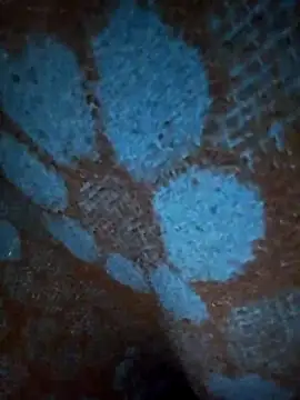 ParousFlow online show from January 2026 12:42:01 PM