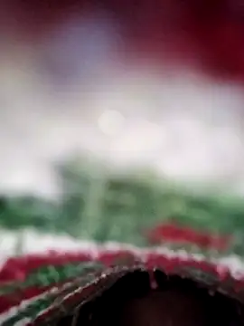 ParousFlow online show from February 2026 11:28:02 AM