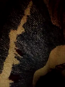 ParousFlow online show from April 2026 09:39:33 PM