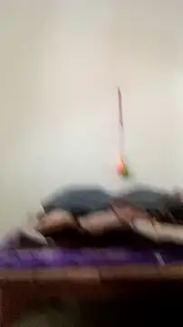 Guriya0076 online show from February 2026 11:07:02 AM