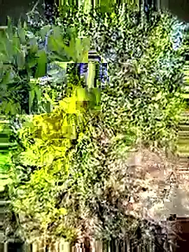 Desi Horny Boys online show from May 2026 03:12:01 AM