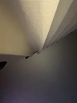 curis4270panda online show from September 2025 03:17:02 AM