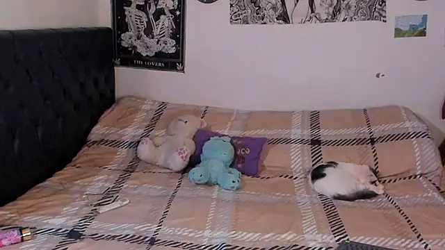 Snapshot of chloe_kisses chatting on September 2025 11:47:02 AM chloe kisses online show from September 2025 11:47:02 AM