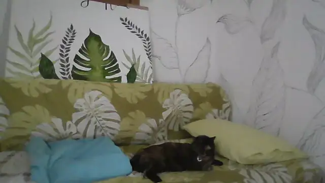 Catty Lady online show from September 2025 06:35:01 PM