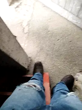 13elvergon online show from October 2025 03:40:01 PM