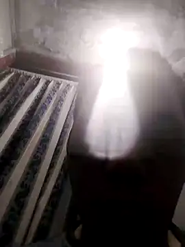 13elvergon online show from November 2025 10:04:01 AM