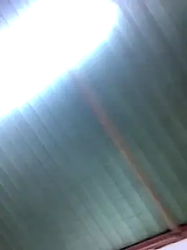 Bin77 online show from December 2025 02:17:01 AM