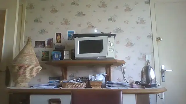 gegevincent online show from April 2026 11:28:01 AM