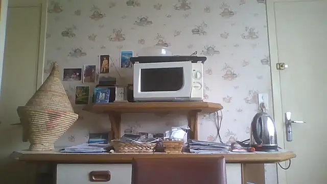 Snapshot of gegevincent chatting on May 2026 11:37:01 AM gegevincent online show from May 2026 11:37:01 AM