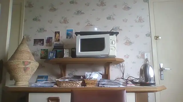 Snapshot of gegevincent chatting on May 2026 01:27:01 PM gegevincent online show from May 2026 01:27:01 PM