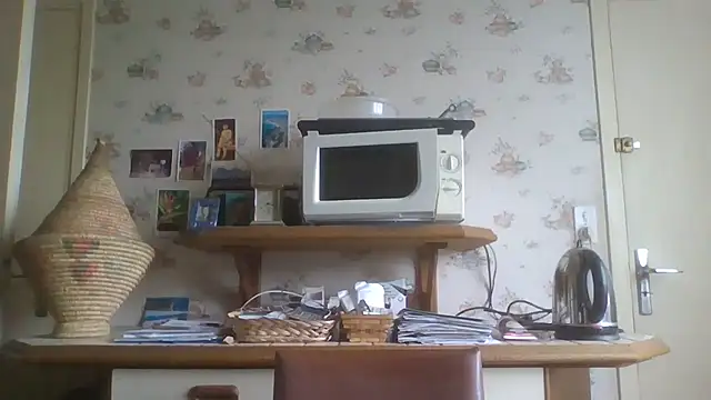 Snapshot of gegevincent chatting on May 2026 08:20:01 AM gegevincent online show from May 2026 08:20:01 AM