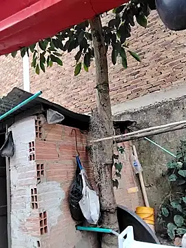 Snapshot of You-sexy-starr chatting on October 2025 04:38:02 PM You-sexy-starr online show from October 2025 04:38:02 PM