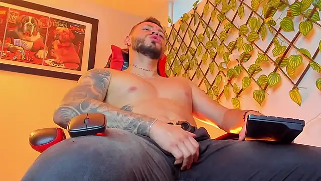 DIMITRI MASTEER online show from January 2026 08:00:02 PM