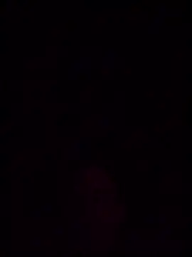 helldonk online show from March 2026 08:07:01 AM