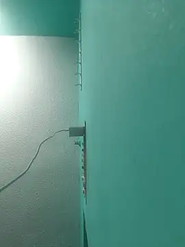 Snapshot of Villageanuty chatting on February 2026 04:17:01 PM Villageanuty online show from February 2026 04:17:01 PM