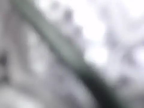 ble wilos online show from November 2025 11:59:01 PM