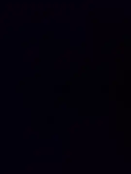 minnetird online show from December 2025 07:12:01 AM