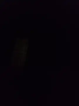 silvaa89 online show from December 2025 01:00:01 AM