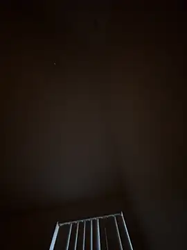 julio p online show from February 2026 11:23:02 PM