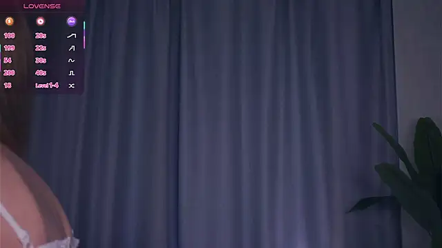 VeronaBench online show from November 2025 06:27:01 AM