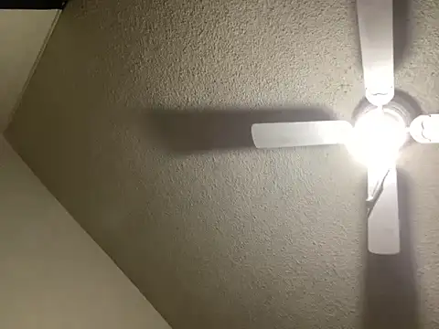 Snapshot of NiftyCaptain3 chatting on March 2026 03:45:01 PM NiftyCaptain3 online show from March 2026 03:45:01 PM