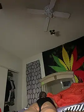 Snapshot of NiftyCaptain3 chatting on April 2026 07:06:02 AM NiftyCaptain3 online show from April 2026 07:06:02 AM