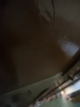 Telugu person12 online show from February 2026 08:46:01 AM