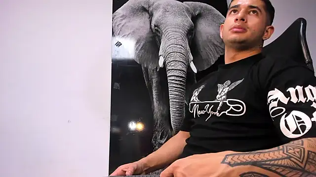 king falconer online show from October 2025 11:49:02 PM