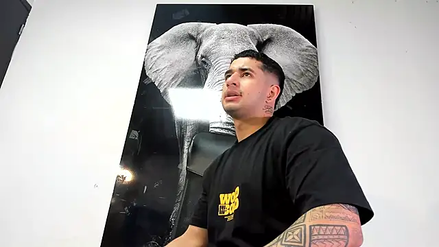 king falconer online show from October 2025 01:33:02 AM