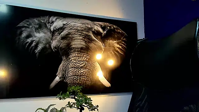 king falconer online show from November 2025 12:56:02 AM