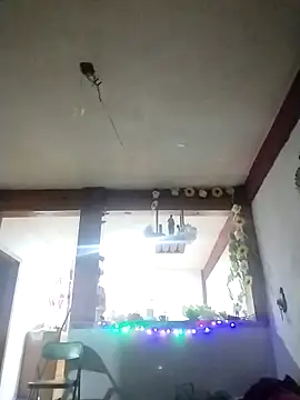 perrotjuui97 online show from November 2025 01:47:01 AM