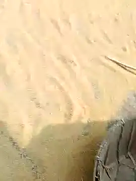 Snapshot of CatchingBouquet chatting on November 2025 04:44:01 AM CatchingBouquet online show from November 2025 04:44:01 AM