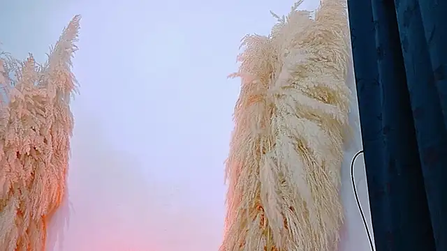 JulietaDavis online show from February 2026 09:32:01 AM