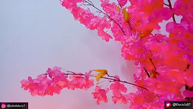 JulietaDavis online show from May 2026 09:38:02 AM