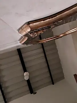 Hiroshi Shen online show from October 2025 11:03:01 AM