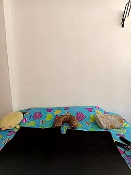 queemking online show from March 2026 03:37:02 PM