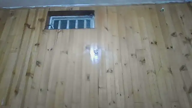 Roselingalvis13 online show from October 2025 03:19:01 AM