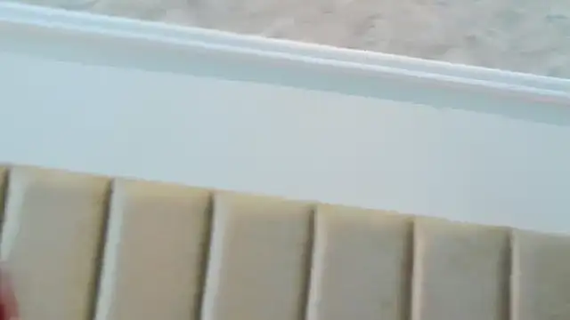 Sofy-Acevedo online show from September 2025 11:56:02 AM