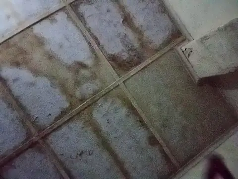 RFeltomWhitJ online show from November 2025 01:11:01 AM