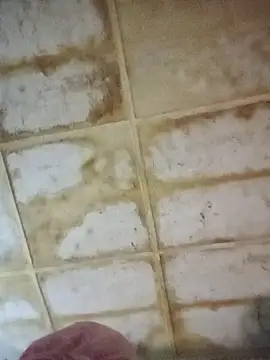 RFeltomWhitJ online show from November 2025 11:15:01 PM