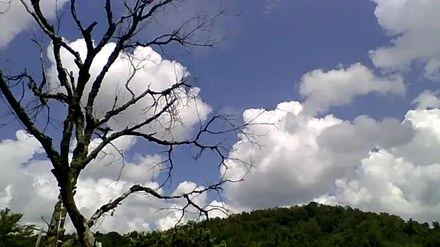 ovmilf online show from August 2026 04:54:02 PM