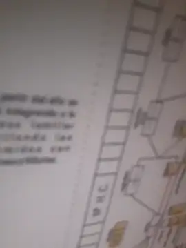 bocadepecado online show from September 2025 08:25:01 PM