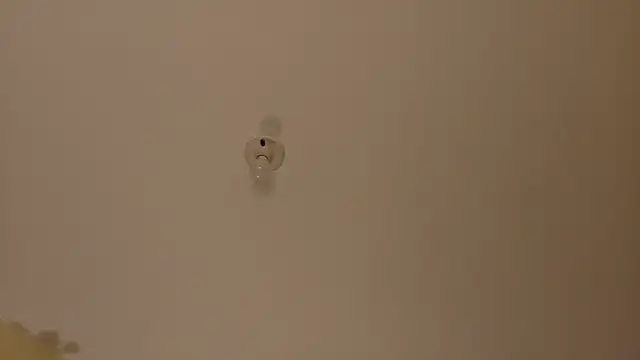 Amanda sweet online show from October 2025 01:03:02 PM