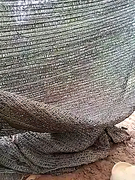 Snapshot of Tina_2pp chatting on November 2025 11:27:02 PM Tina 2pp online show from November 2025 11:27:02 PM