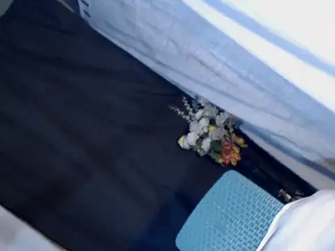 Snapshot of xyourdreamtrans chatting on September 2025 09:34:01 AM xyourdreamtrans online show from September 2025 09:34:01 AM