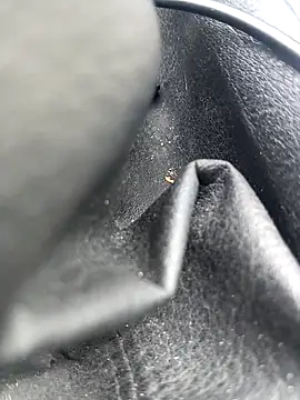 legaros online show from April 2026 02:26:01 PM